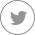 Twitter Page icon