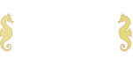 Casino Cruise logo