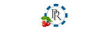 Platinum Reels Casino logo