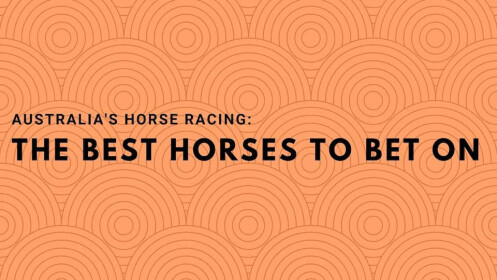 The-best-horses-to-bet-on